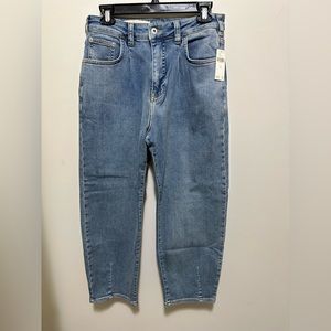 Anthropologie Pilcro High Waist Jean